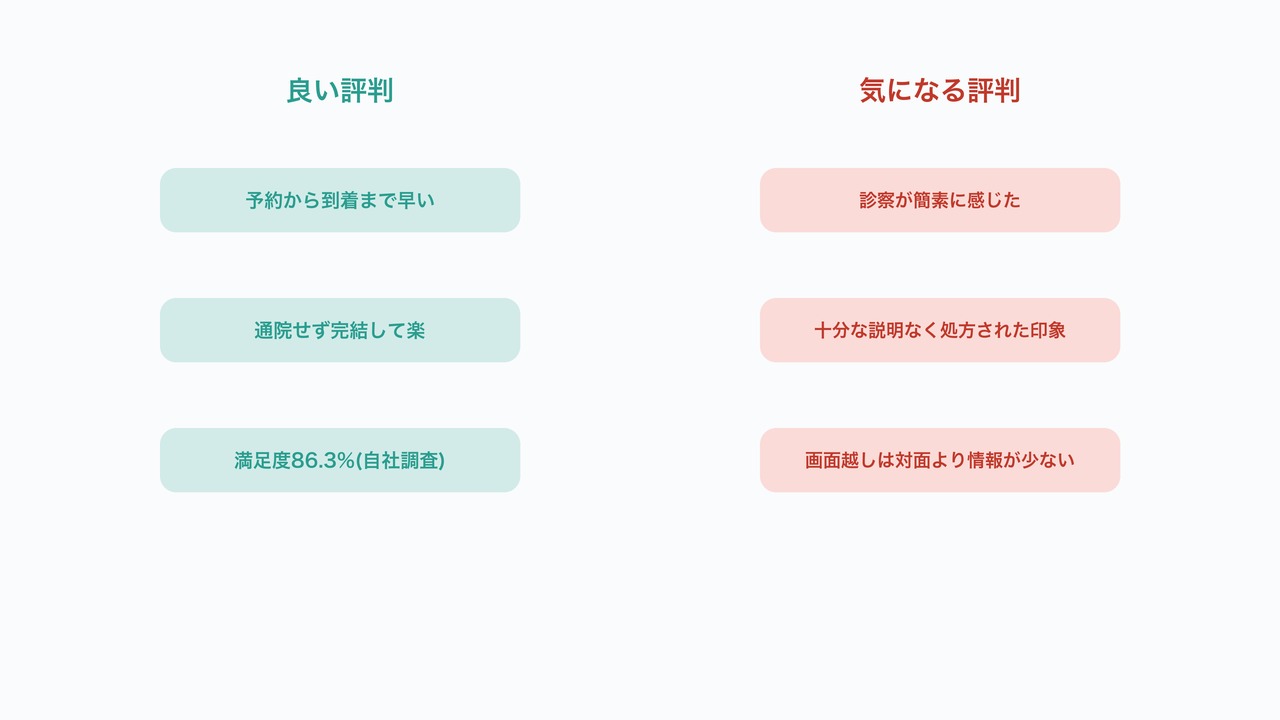 口コミの両面分析の図解。良い評判と気になる評判を対比したリスト。