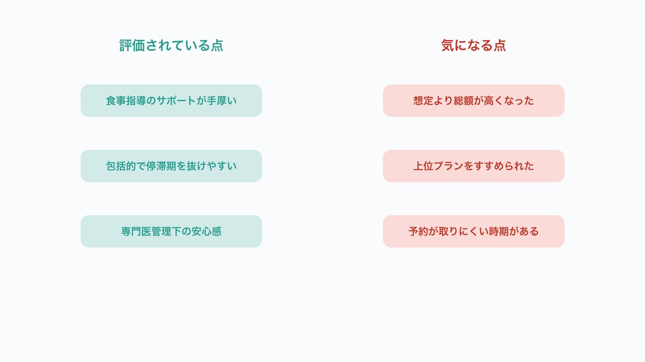 口コミの両面分析の図解。評価されている点と気になる点を対比したリスト。