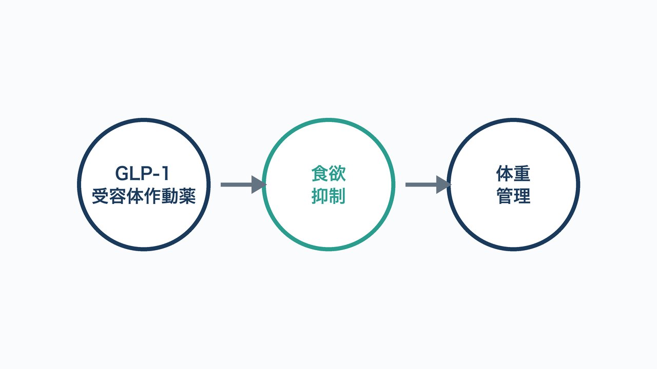 GLP-1受容体作動薬が食欲抑制を通じて体重管理につながる仕組みを示した3ステップの図解。