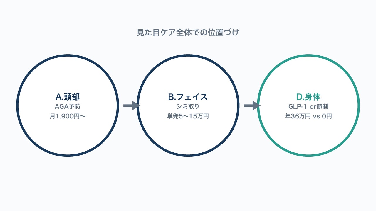 見た目ケア全体での位置づけの図解。頭部・フェイス・身体の3領域とGLP-1の関係を示す図。