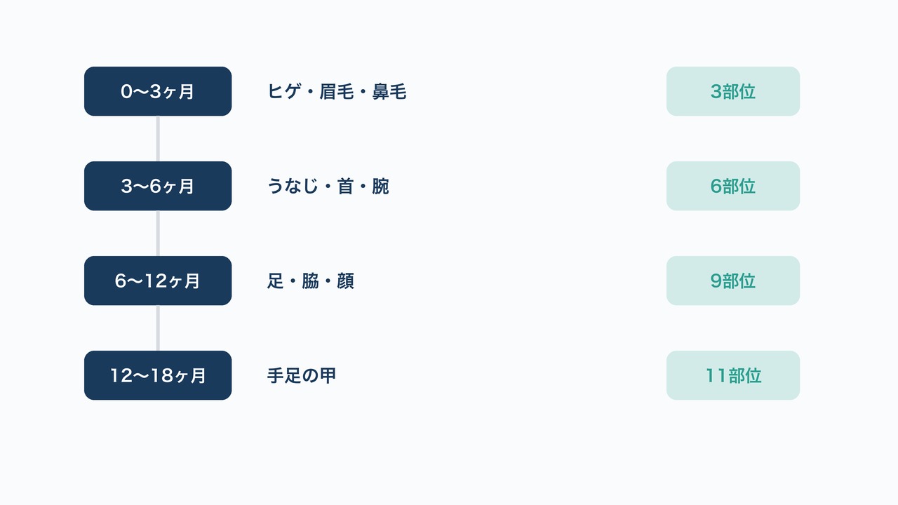 11部位を1年半で完了する最短ロードマップ図解。0〜18ヶ月の4段階と累計部位数を示す図。